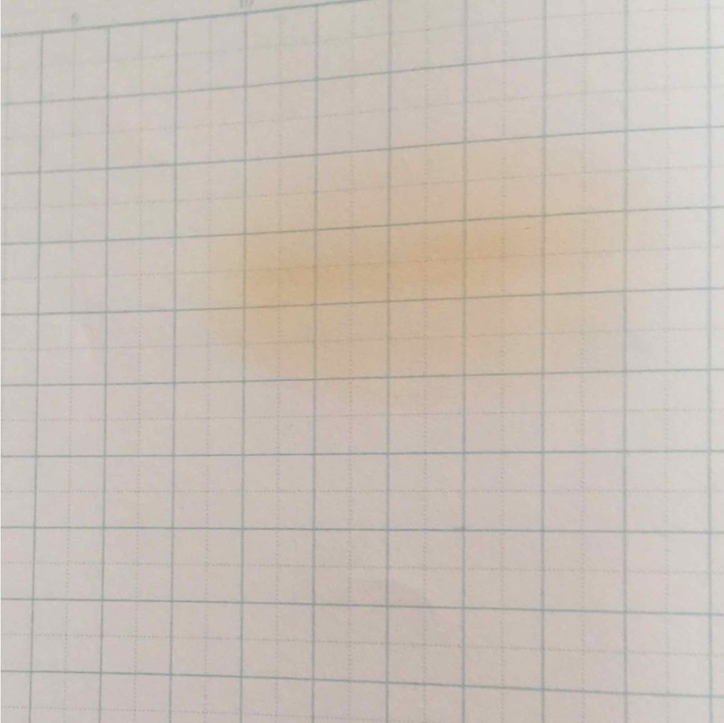 エルファー パウダーファンデーション D ライトベージュ/DAISO/パウダーファンデーションを使ったクチコミ（2枚目）