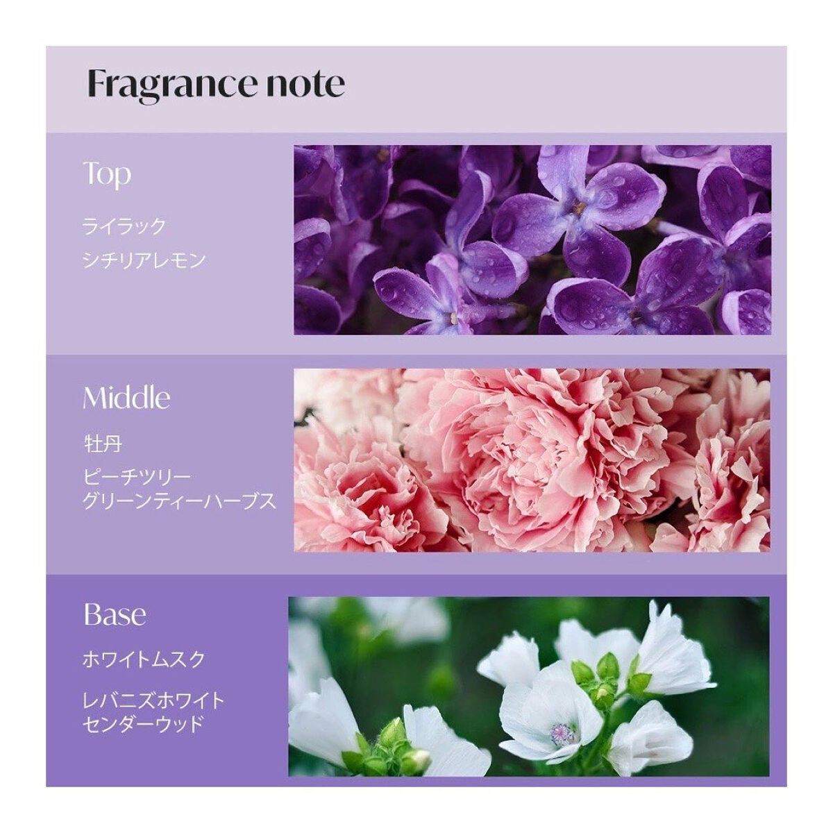 ヘアセラム 02 Bittersweet Lilac/seior/ヘアオイルを使ったクチコミ（3枚目）