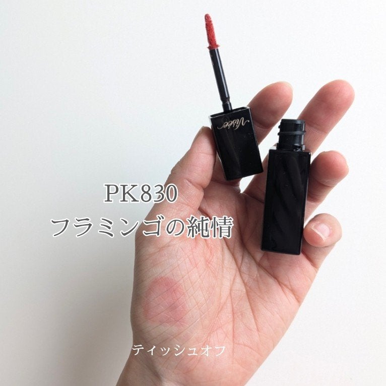 ネンマクフェイク リキッド/Visée/口紅を使ったクチコミ(6枚目)