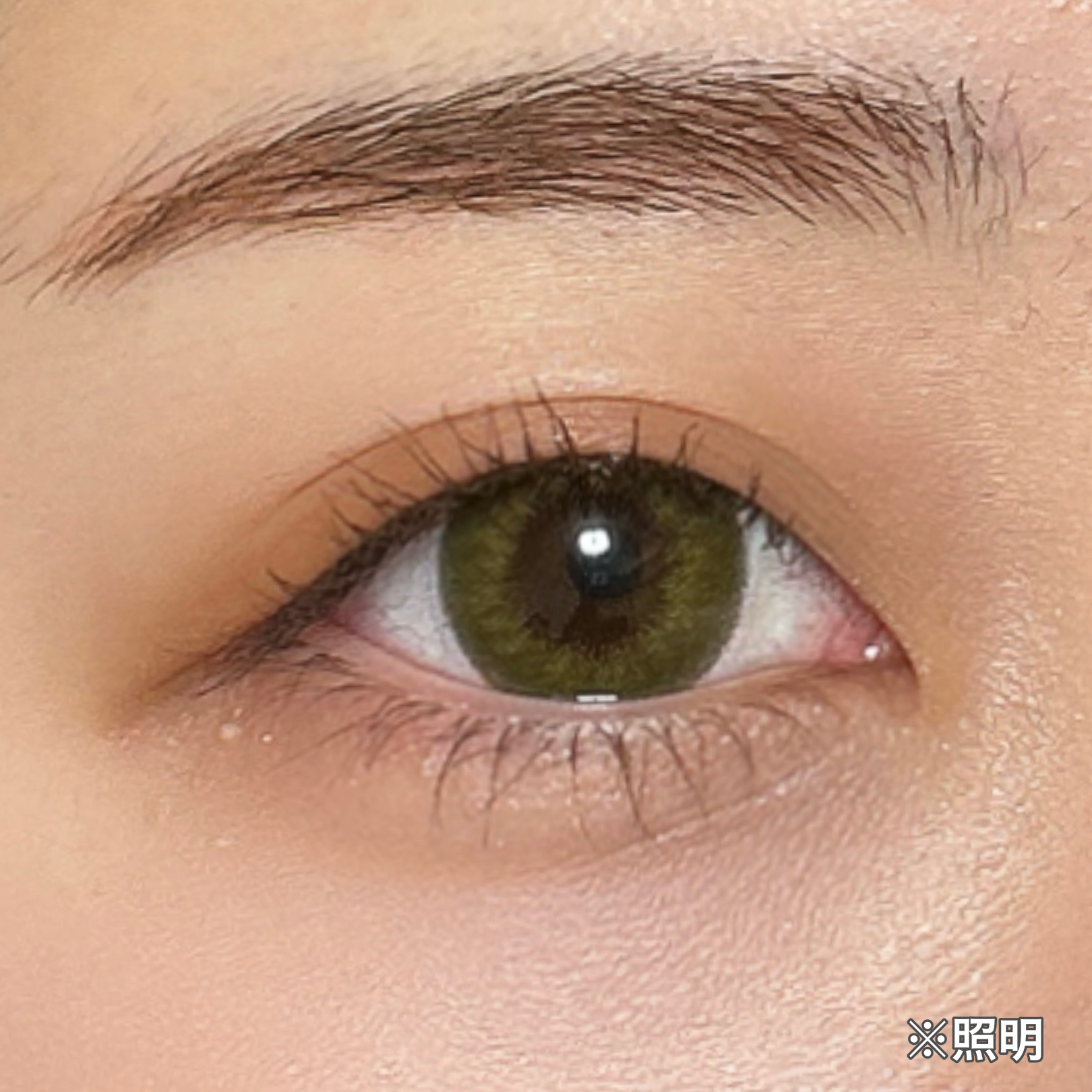 Angelcolor Bambi Series Vintage 1day/AngelColor/ワンデー（１DAY）カラコンを使ったクチコミ（3枚目）