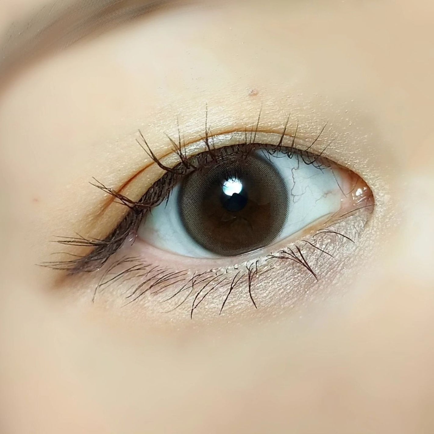 Dewy Kristin/Hapa kristin/カラーコンタクトレンズを使ったクチコミ(3枚目)