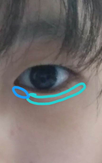 【旧品】パーフェクトスタイリストアイズ/キャンメイク/アイシャドウパレットを使ったクチコミ(4枚目)