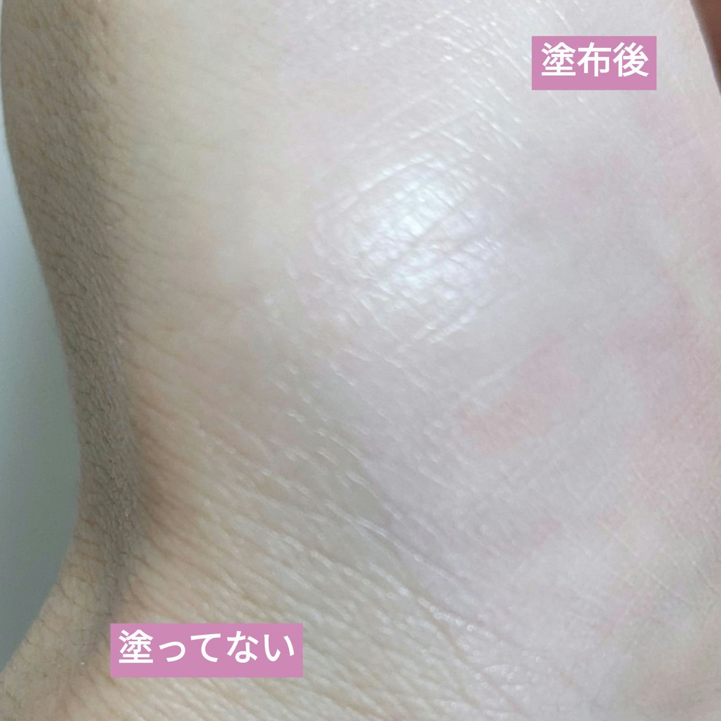 キャンバスペイントパレット/KATE/マルチパレットを使ったクチコミ(2枚目)