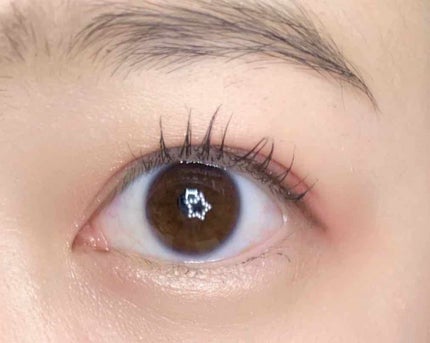 novo アイシャドウパレット/NOVO/アイシャドウパレットを使ったクチコミ(4枚目)