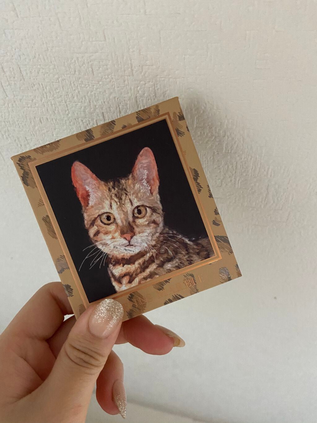 Venus Marble アイシャドウキャットシリーズ/Venus Marble/アイシャドウパレットを使ったクチコミ(1枚目)