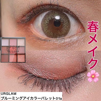 UR GLAM BLOOMING EYE COLOR PALETTE/U R GLAM/アイシャドウパレットを使ったクチコミ(1枚目)