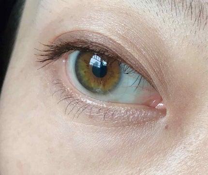 【旧品】パーフェクトスタイリストアイズ/キャンメイク/アイシャドウパレットを使ったクチコミ(3枚目)