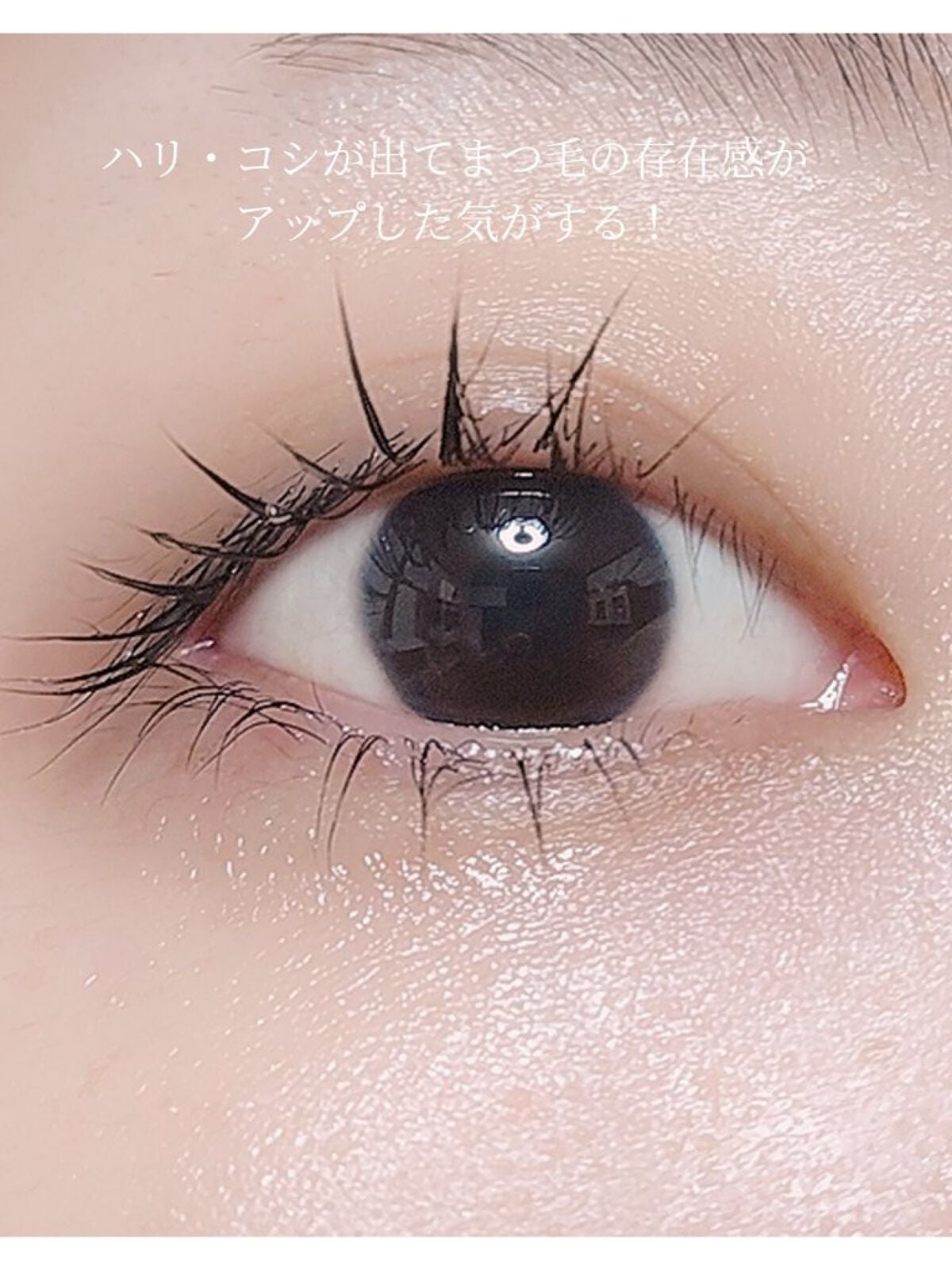 トゥルーアイラッシュセラム/mude/まつげ美容液を使ったクチコミ(3枚目)