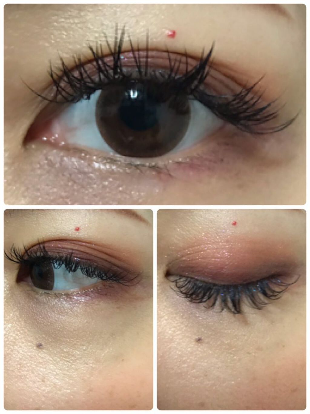 ザッツ マイ ジャム! ミニ アイシャドウ パレット /Too Faced/アイシャドウパレットを使ったクチコミ(8枚目)