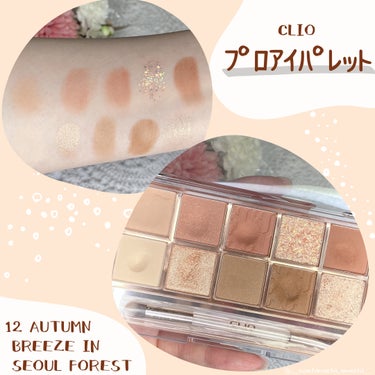 プロ アイ パレット 12 AUTUMN BREEZE IN SEOUL FOREST/CLIO/アイシャドウパレットの画像