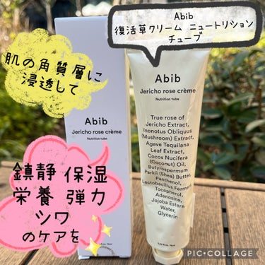 Abib  復活草クリーム ニュートリションチューブのクチコミ「こんにちは！
ご覧頂きありがとうございます❤︎

Abib  
Jericho rose cr.....」（1枚目）