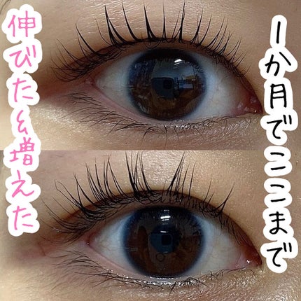 エグータム/アルマダスタイル/まつげ美容液を使ったクチコミ(1枚目)