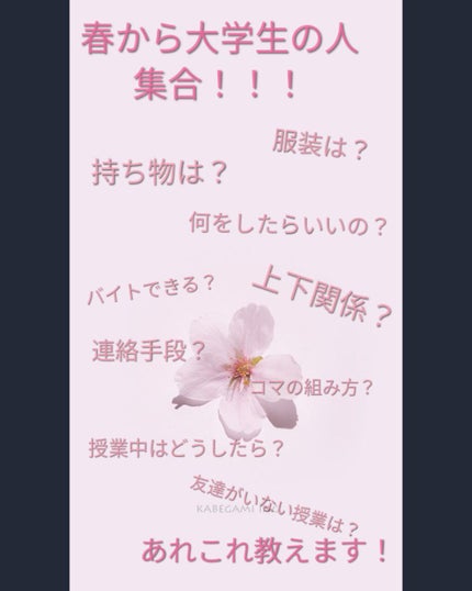 あめすぴ。さん on LIPS 「こんにちは。こんばんは。あめすぴ。さんです。「大学生になる前に..」(1枚目)