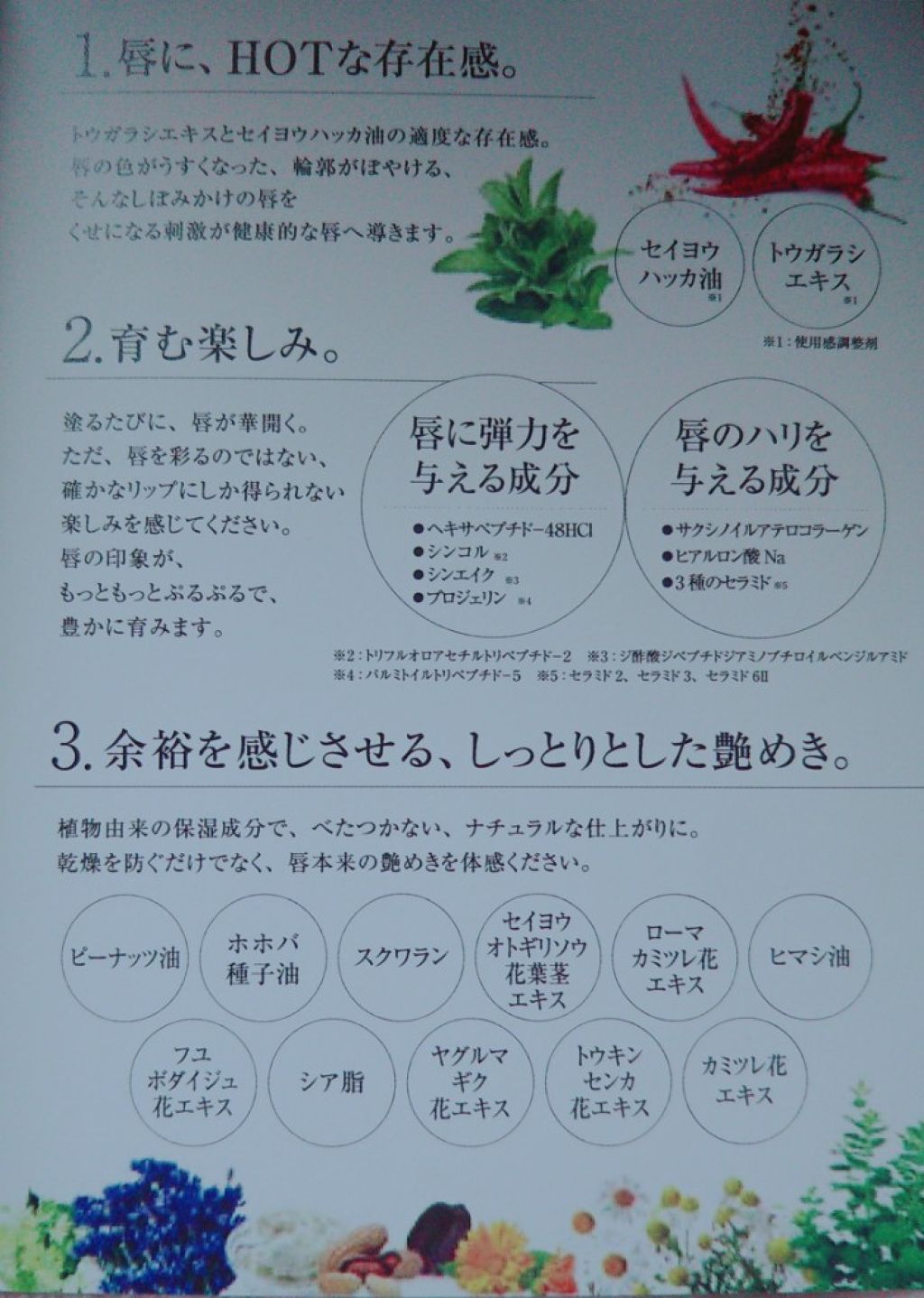 シークレットリッププランパー/HIMITU/リップグロスを使ったクチコミ(3枚目)