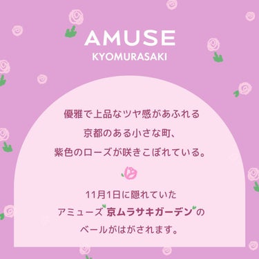 京ムラサキエディション/AMUSE/メイクアップキットを使ったクチコミ（1枚目）