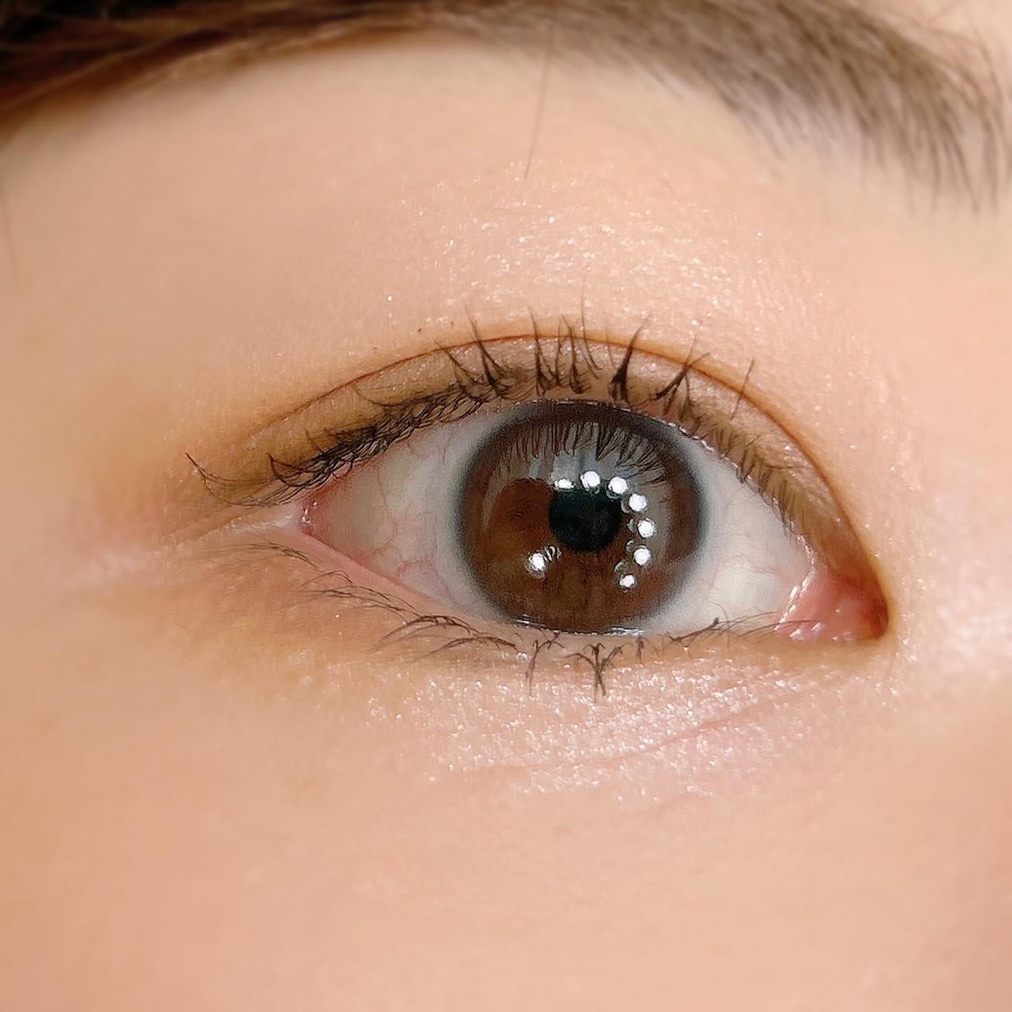 ミゼルエディ アンダーキープマスカラ/ミゼルエディ/マスカラを使ったクチコミ(6枚目)