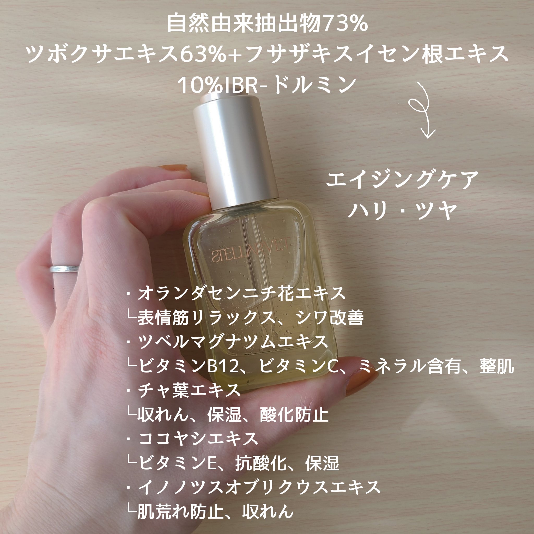 STELLARVET(ステラベット) | 定番から新作まで人気おすすめ商品の