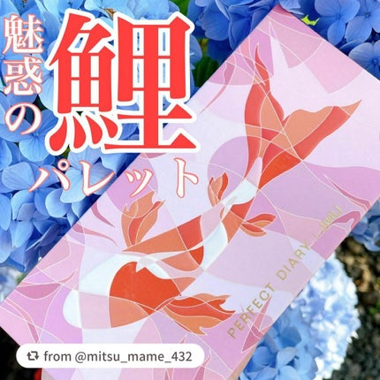 エクスプローラ12色 動物アイシャドウパレット/PERFECT DIARY/アイシャドウパレットを使ったクチコミ(1枚目)