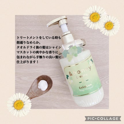 アンドハニー クリーミー ルルルン リペア ペアセット/&honey/シャンプー・コンディショナーを使ったクチコミ(3枚目)