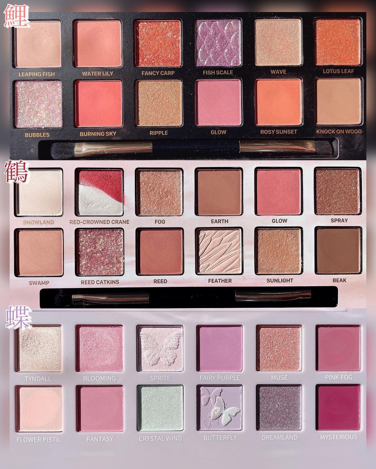 エクスプローラ12色 動物アイシャドウパレット/PERFECT DIARY/アイシャドウパレットを使ったクチコミ(3枚目)