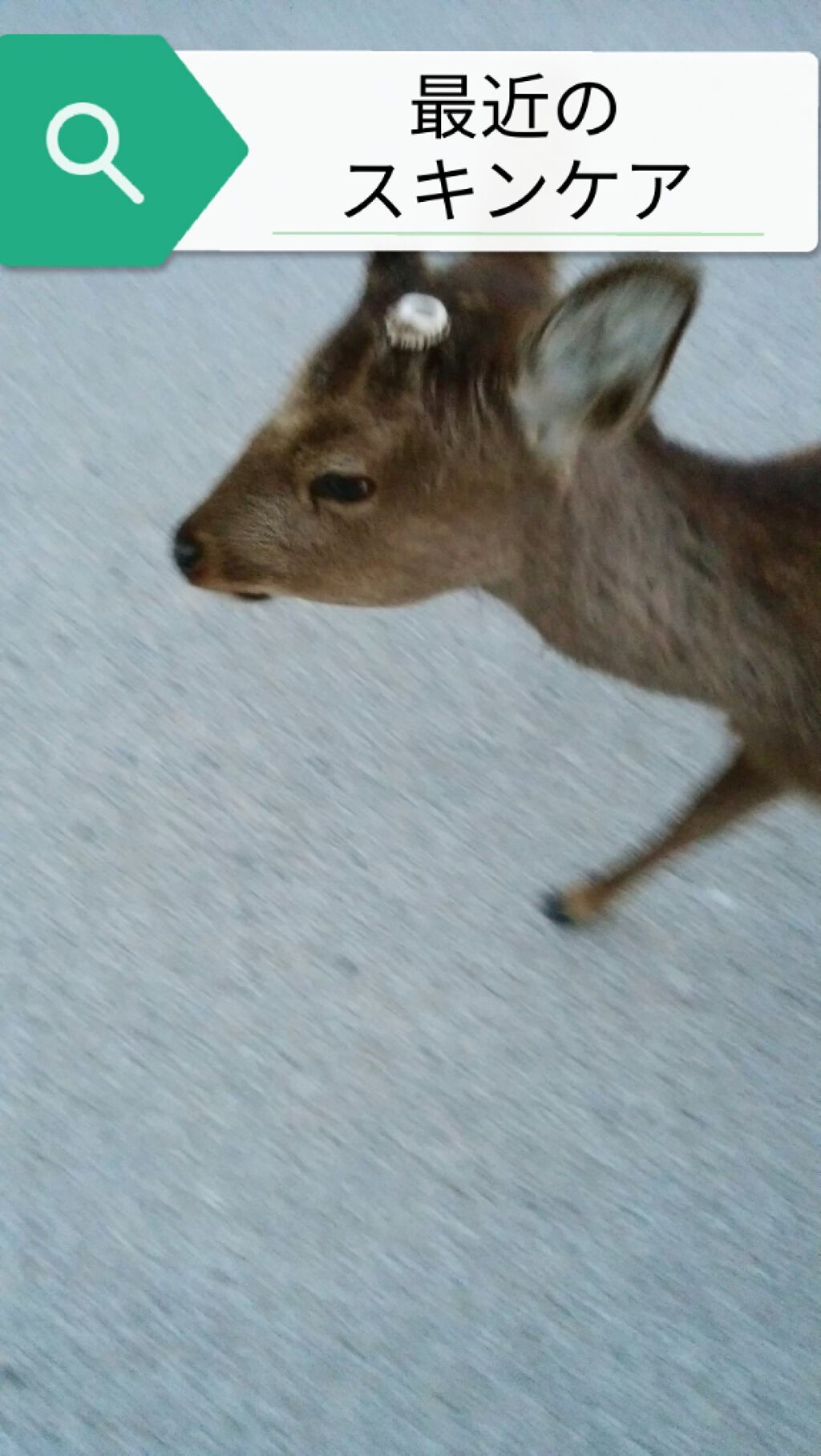 グローミスト C/RMK/ミスト状化粧水を使ったクチコミ（1枚目）