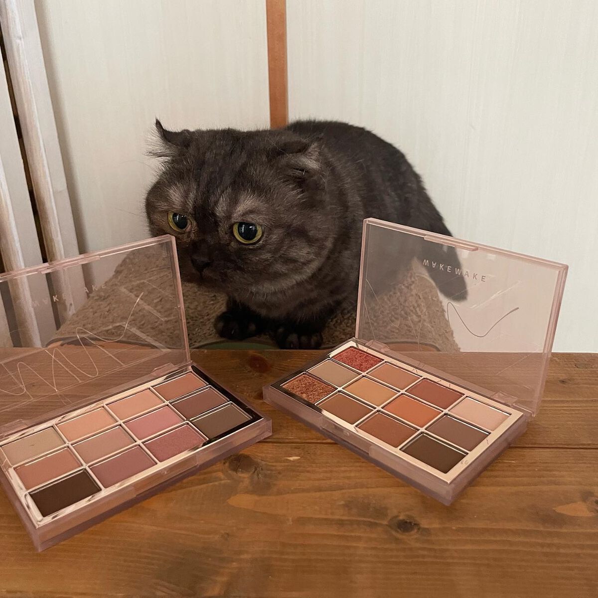 ソフトブラーリングアイパレット/wakemake/アイシャドウパレットを使ったクチコミ（1枚目）