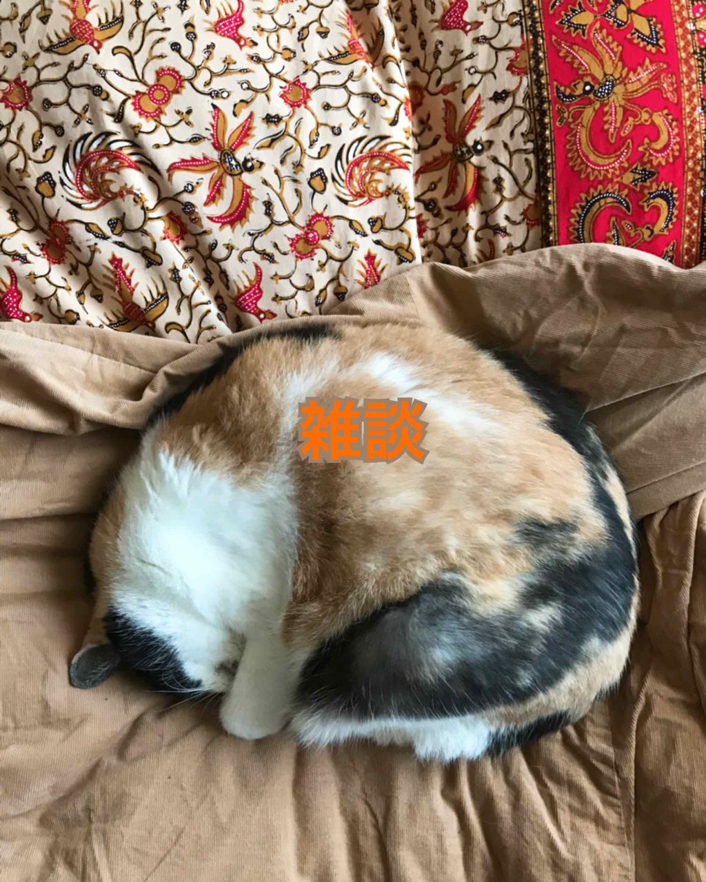 モイストバランス  ローション/ACSEINE/化粧水を使ったクチコミ（1枚目）