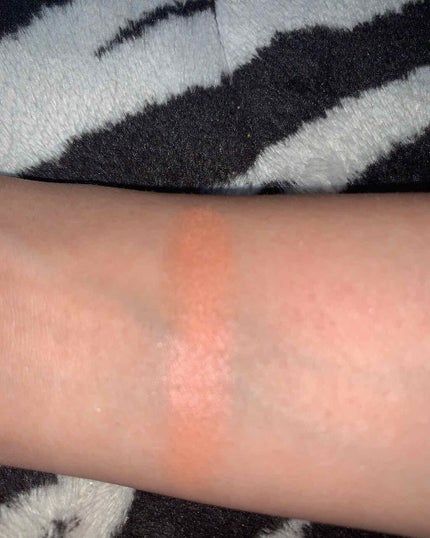 リシェ フォギーオン チークス/Visée/パウダーチークを使ったクチコミ(2枚目)