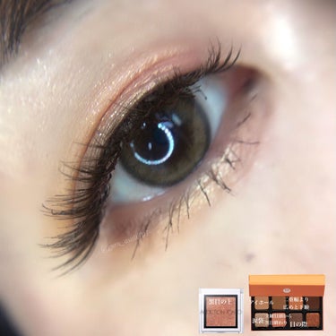 EyeShadow Palette Petit PRO/VISEART/アイシャドウパレットを使ったクチコミ（2枚目）