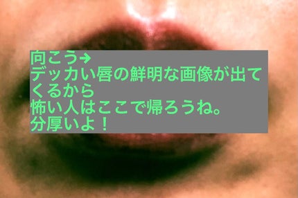 ケイト リップモンスター/KATE/口紅を使ったクチコミ(2枚目)