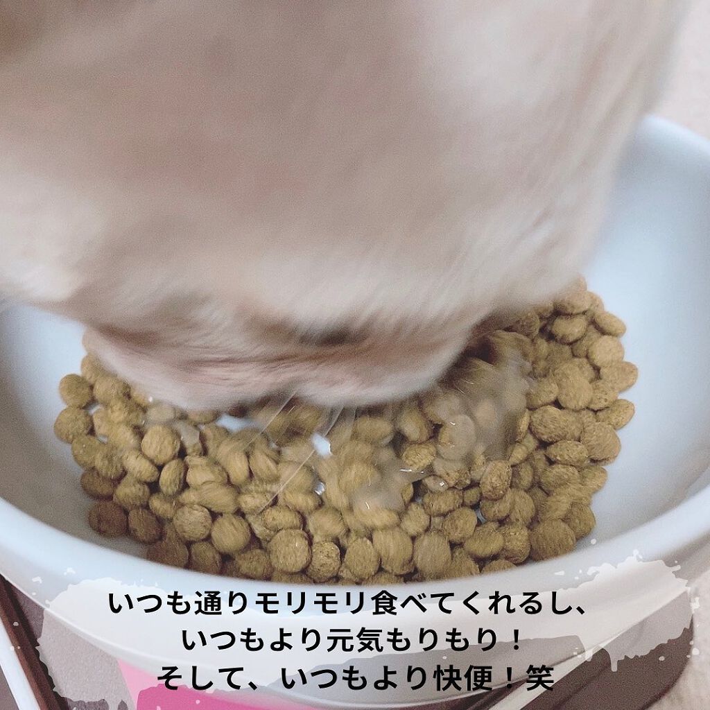 えび松(春br) on LIPS 「株式会社スターネット様より愛犬・愛猫用健康サポート食品MR..」(6枚目)