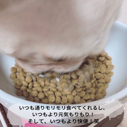 えび松(春br) on LIPS 「株式会社スターネット様より愛犬・愛猫用健康サポート食品MR..」(6枚目)