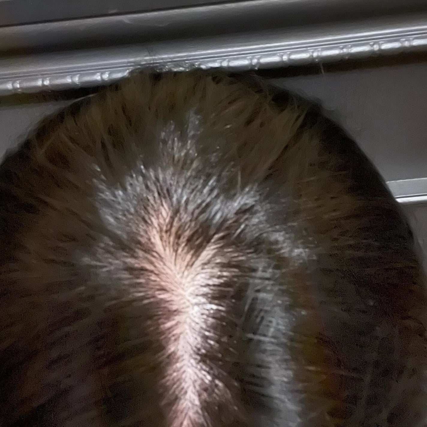 オイルパックカラー/ビゲン/ヘアカラーを使ったクチコミ(7枚目)