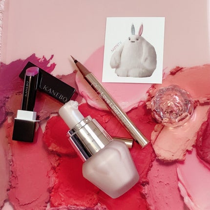 リキッドアイライナーR4/ラブ・ライナー/リキッドアイライナーを使ったクチコミ(1枚目)