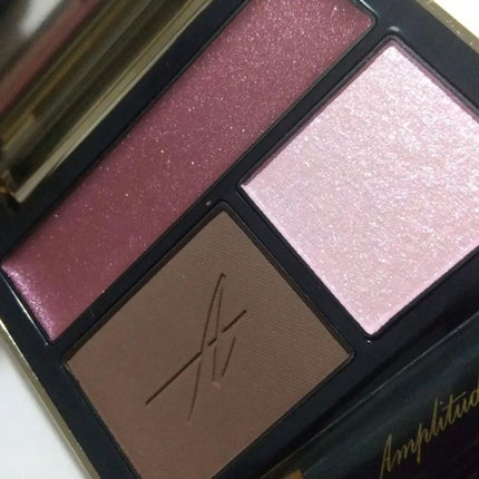 コンスピキュアス アイズ/Amplitude/アイシャドウパレットを使ったクチコミ(4枚目)