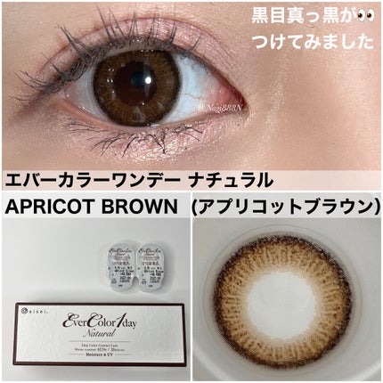 エバーカラーワンデー ナチュラル/エバーカラー/ワンデー(1DAY)カラコンを使ったクチコミ(1枚目)