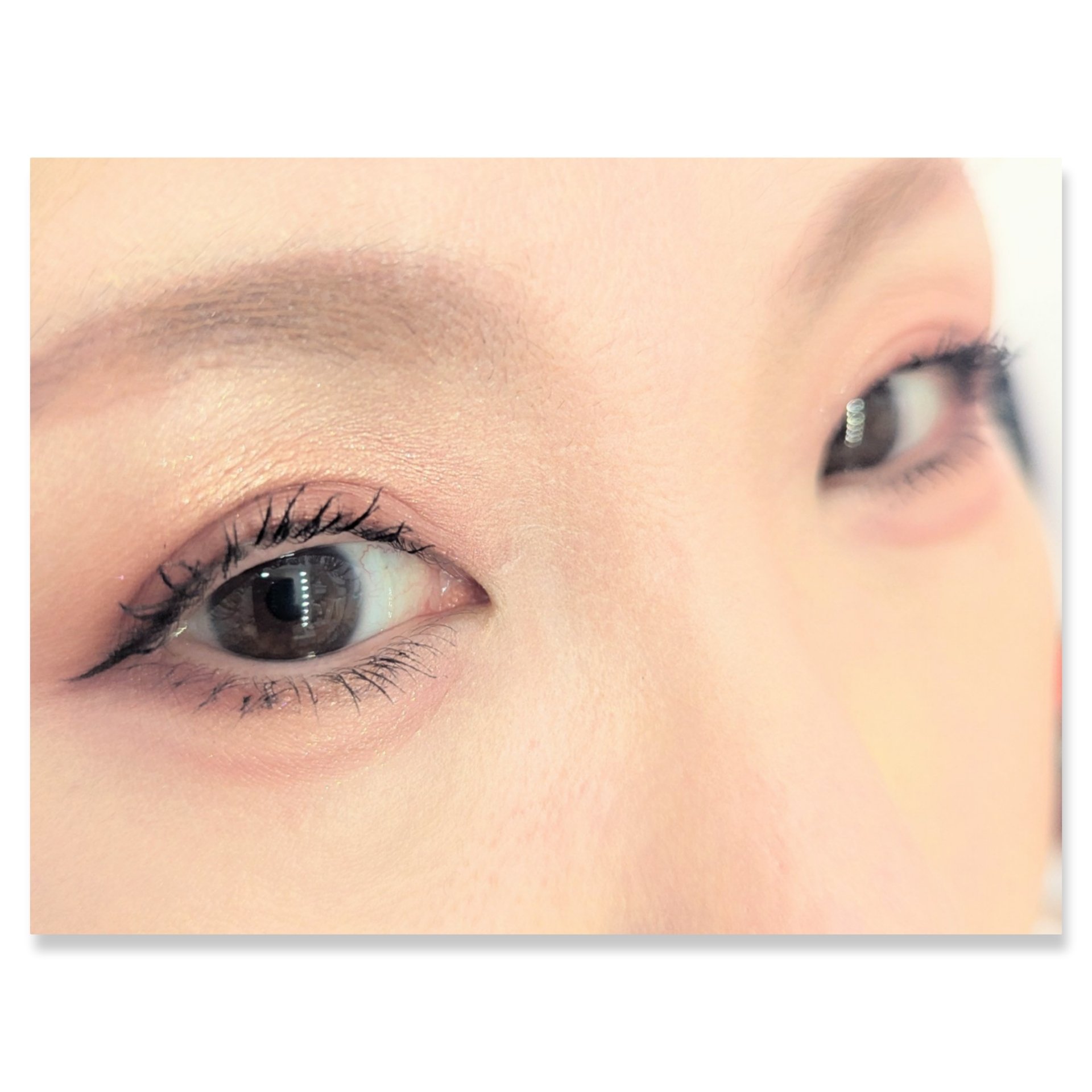 長相思シリーズ 9色アイシャドウパレット/CATKIN/アイシャドウパレットを使ったクチコミ（2枚目）