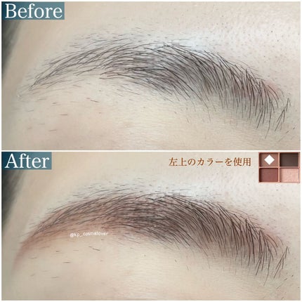 わんだふるアイカラー/KIREI FACTORY/アイシャドウパレットを使ったクチコミ(6枚目)