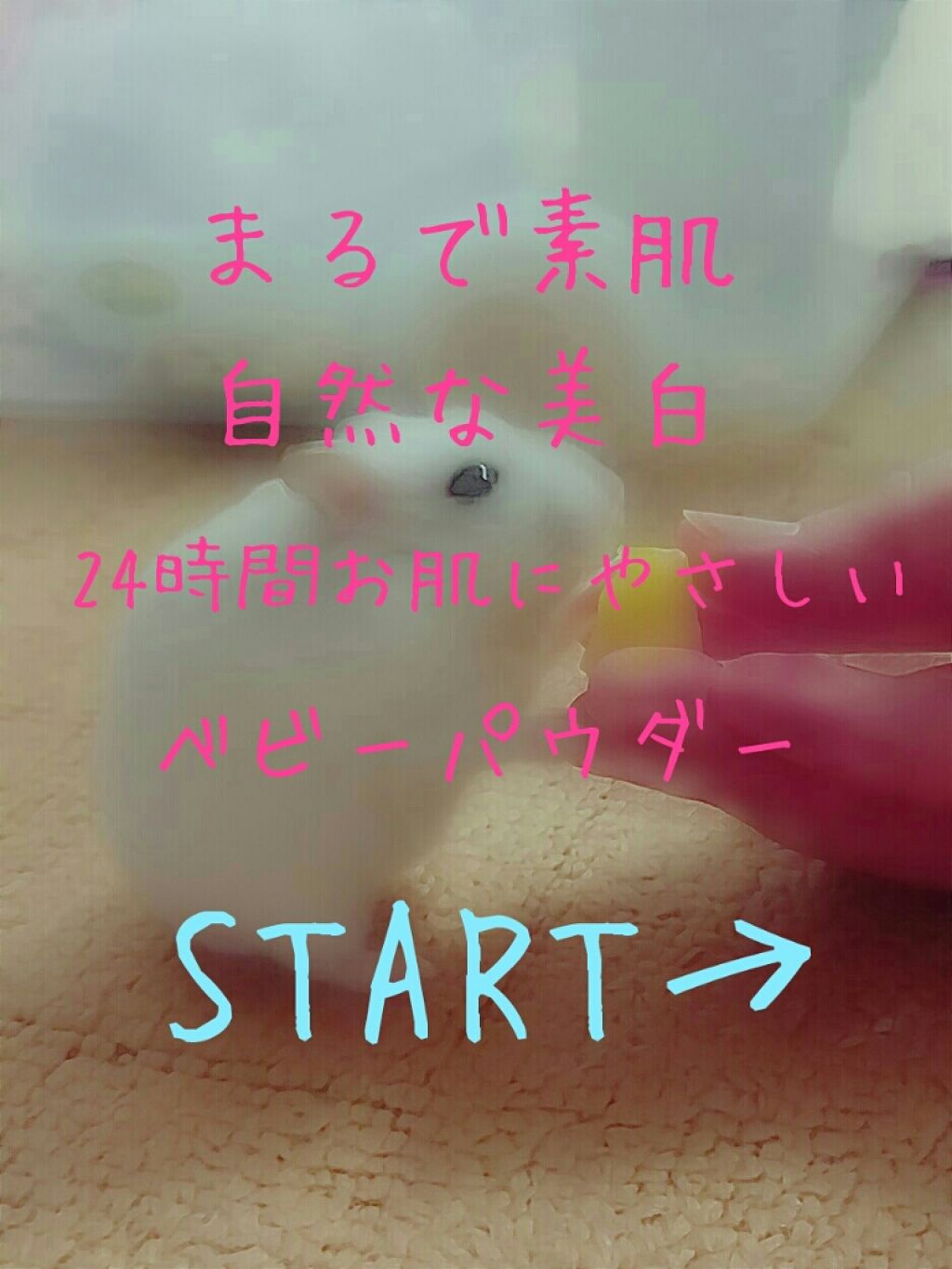 薬用固形パウダー/ピジョン/ボディパウダーを使ったクチコミ(1枚目)