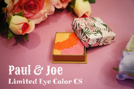 アイカラーCS/PAUL & JOE BEAUTE/アイシャドウパレットを使ったクチコミ(1枚目)