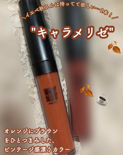 WHY NOT SPINNS リップグロス/DAISO/リップグロスを使ったクチコミ(2枚目)