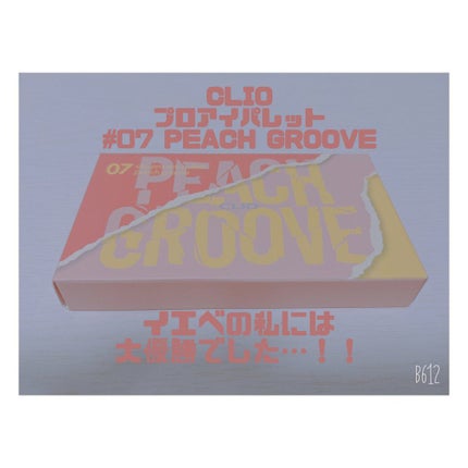 プロ アイ パレット/CLIO/アイシャドウパレットを使ったクチコミ(1枚目)