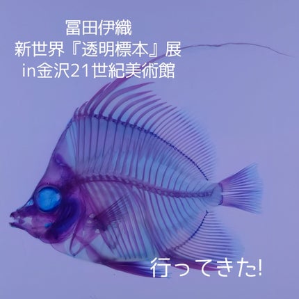 アイカラーパレット/heme/アイシャドウパレットを使ったクチコミ(8枚目)