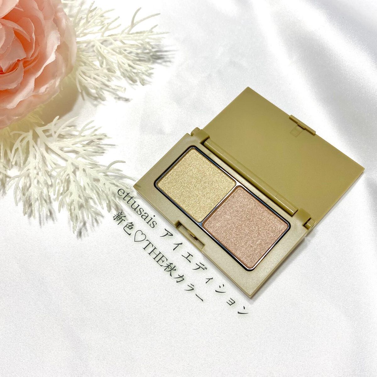 エテュセ アイエディション(カラーパレット) 10 ピスタチオキャメル/ettusais/アイシャドウパレットを使ったクチコミ（1枚目）