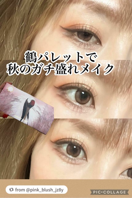 エクスプローラ12色 動物アイシャドウパレット/PERFECT DIARY/アイシャドウパレットを使ったクチコミ(1枚目)