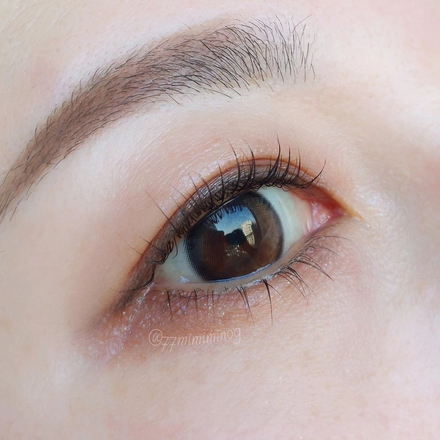 シグニチャー カラー アイズ/SUQQU/アイシャドウパレットを使ったクチコミ(5枚目)