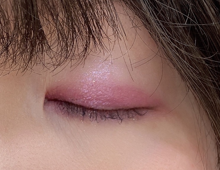 アニマルアイシャドウ(4シェード)/ZEESEA/アイシャドウパレットを使ったクチコミ（2枚目）