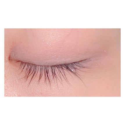 ベアシャドウパレット/フォレンコス/アイシャドウパレットを使ったクチコミ(7枚目)