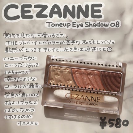 ハーシー プレイカラーアイズミニ/ETUDE/アイシャドウパレットを使ったクチコミ(9枚目)