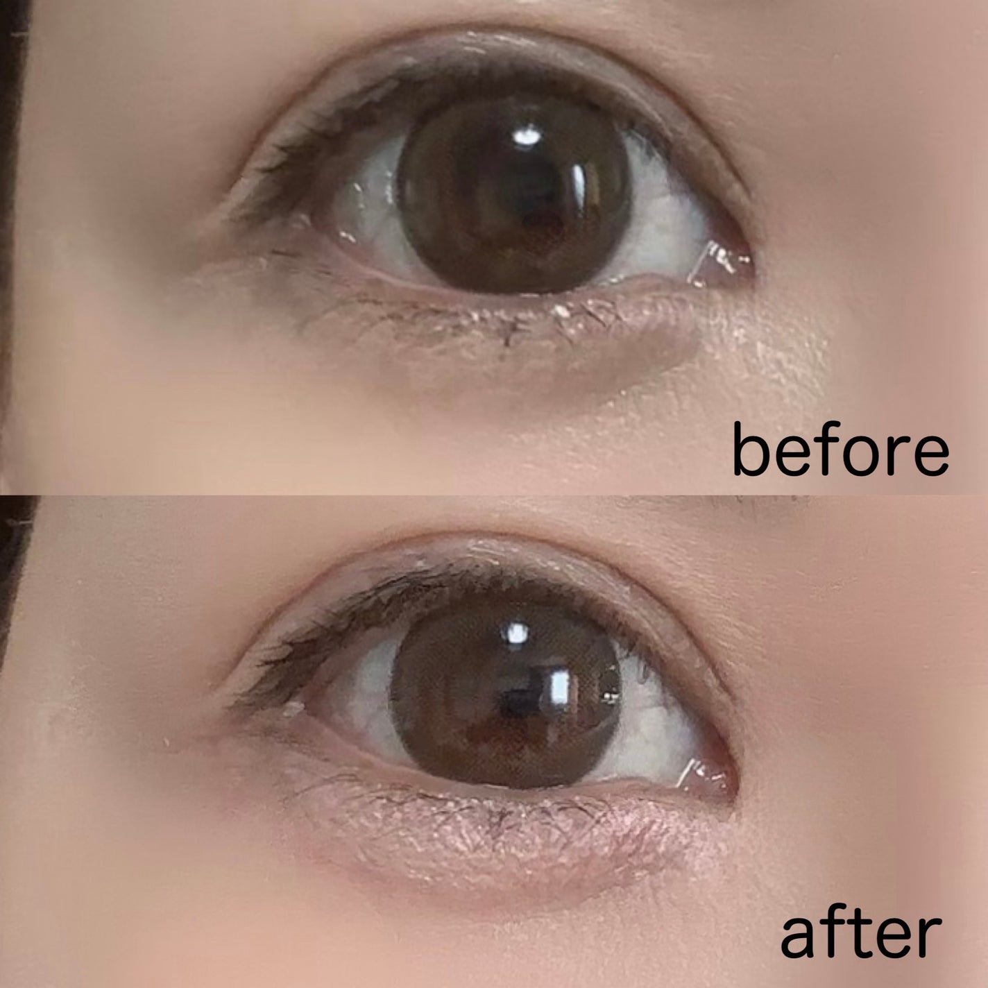 プランぷくコーデアイズ/キャンメイク/パウダーアイシャドウを使ったクチコミ(5枚目)